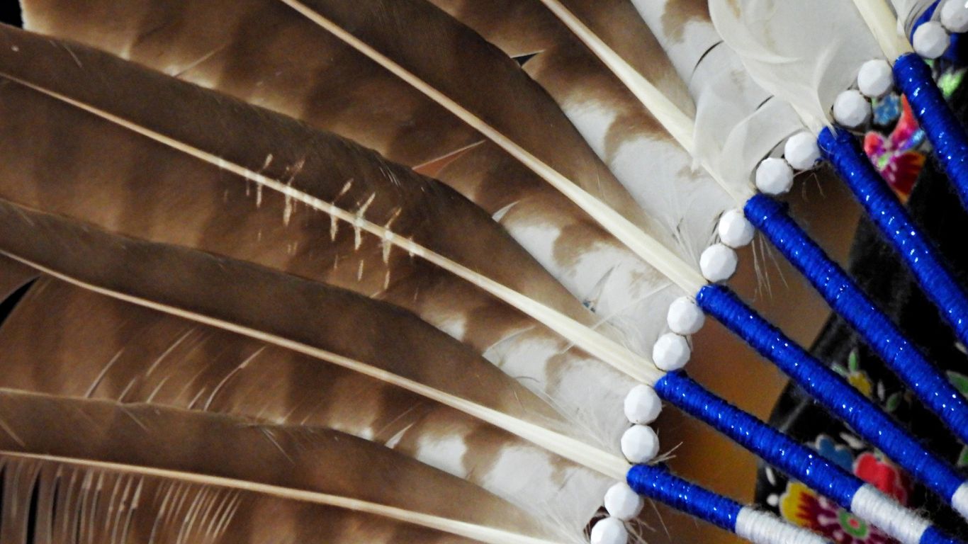 Feathers on a Native American Bustle