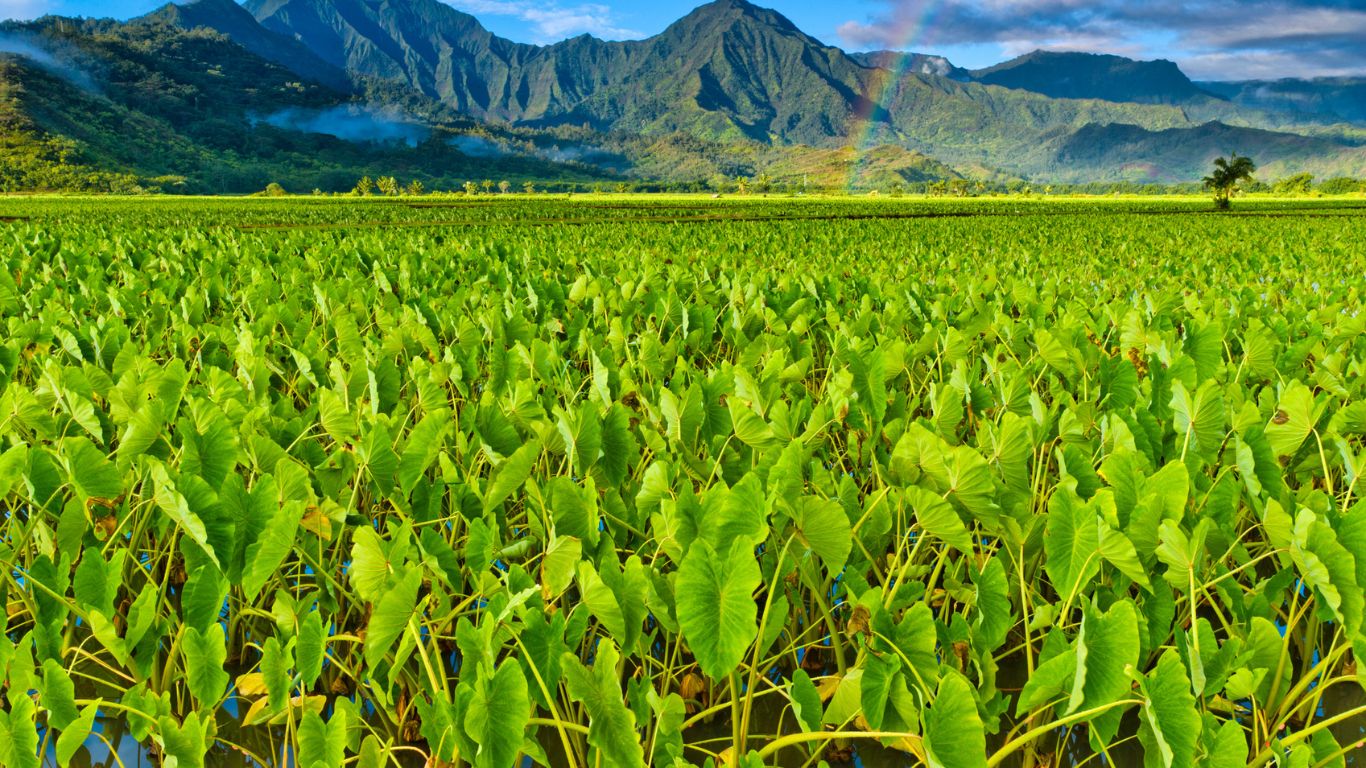 Island of Kauai in Hawaii